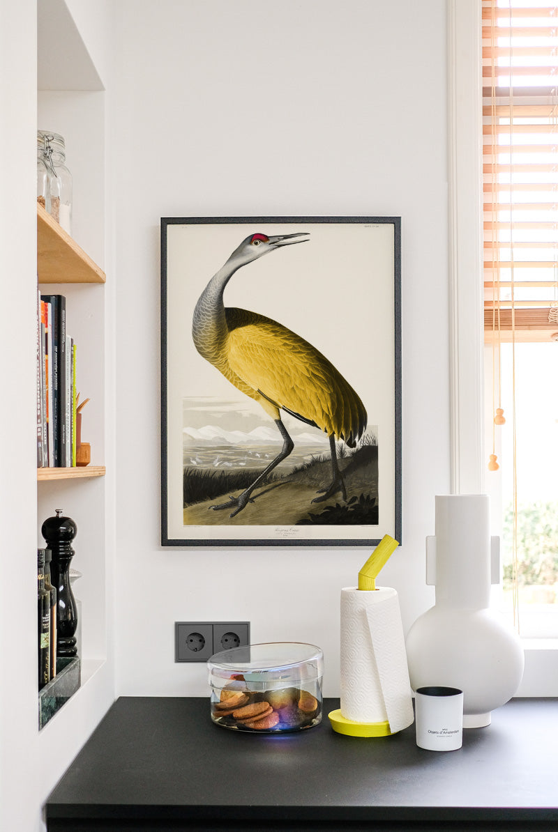 Birds of America - Yellow (50x70 cm)